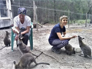 Volunteer Wildlife Volunteers are Vital to the Conservation of Tasmanian Wildlife