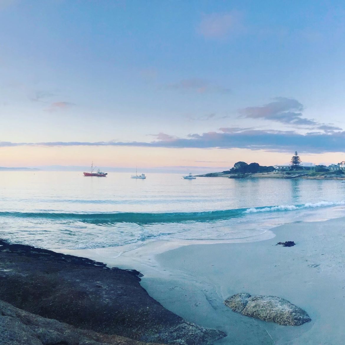 Oceans 2 Earth Volunteers Wildlife Volunteering