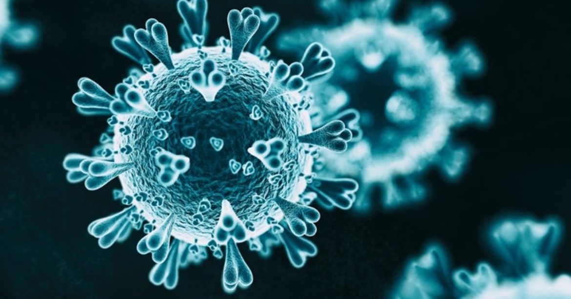 Oceans 2 Earth Volunteers Covid 19 Action Plan_a