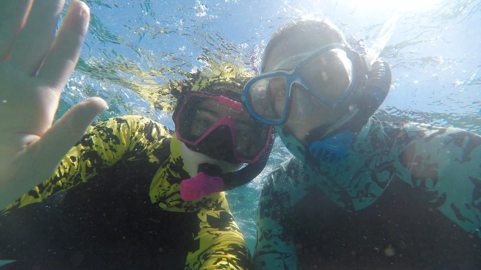 Island Reef Research and Conservation