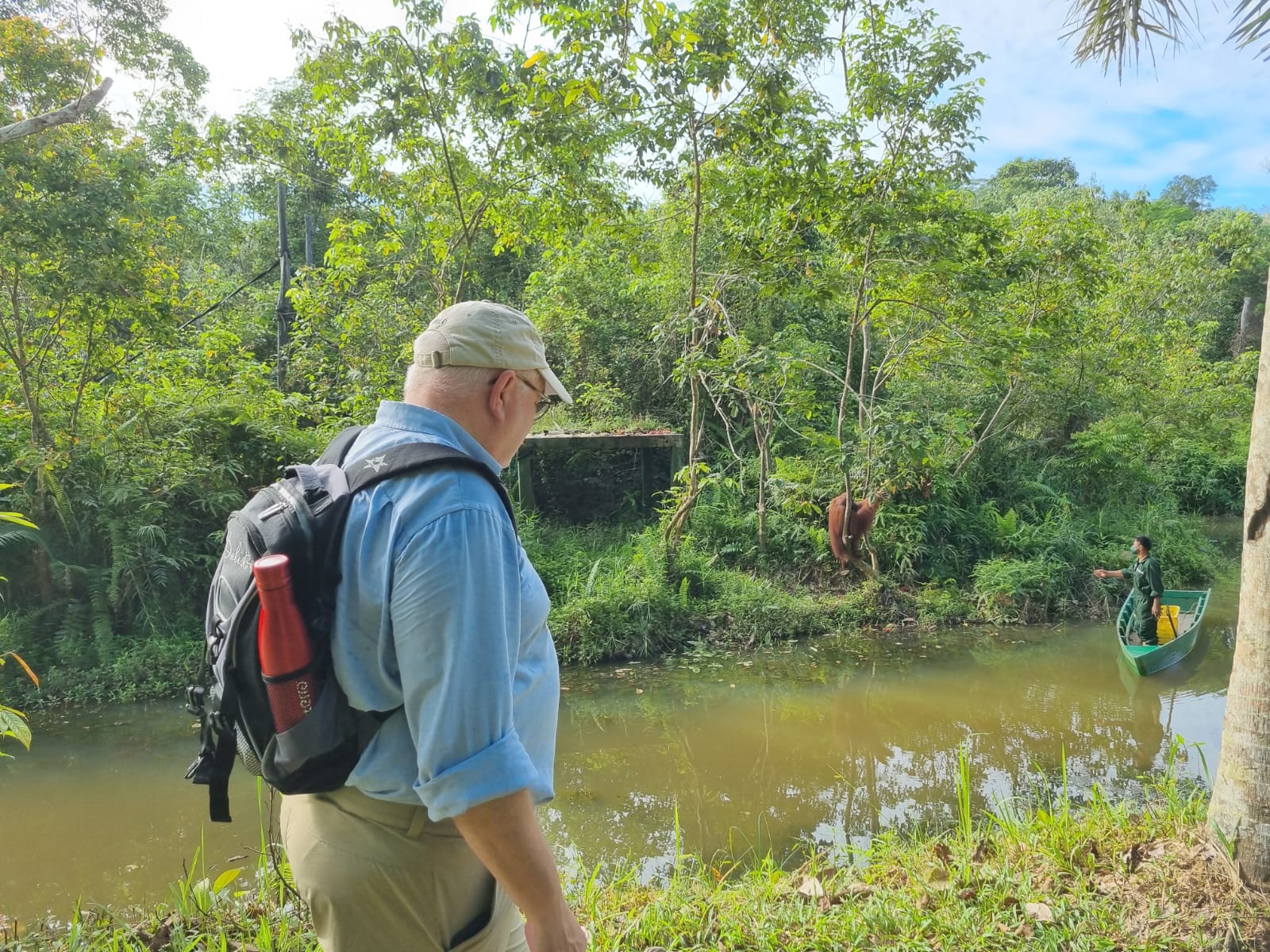 Orangutan And Sun Bear Conservation