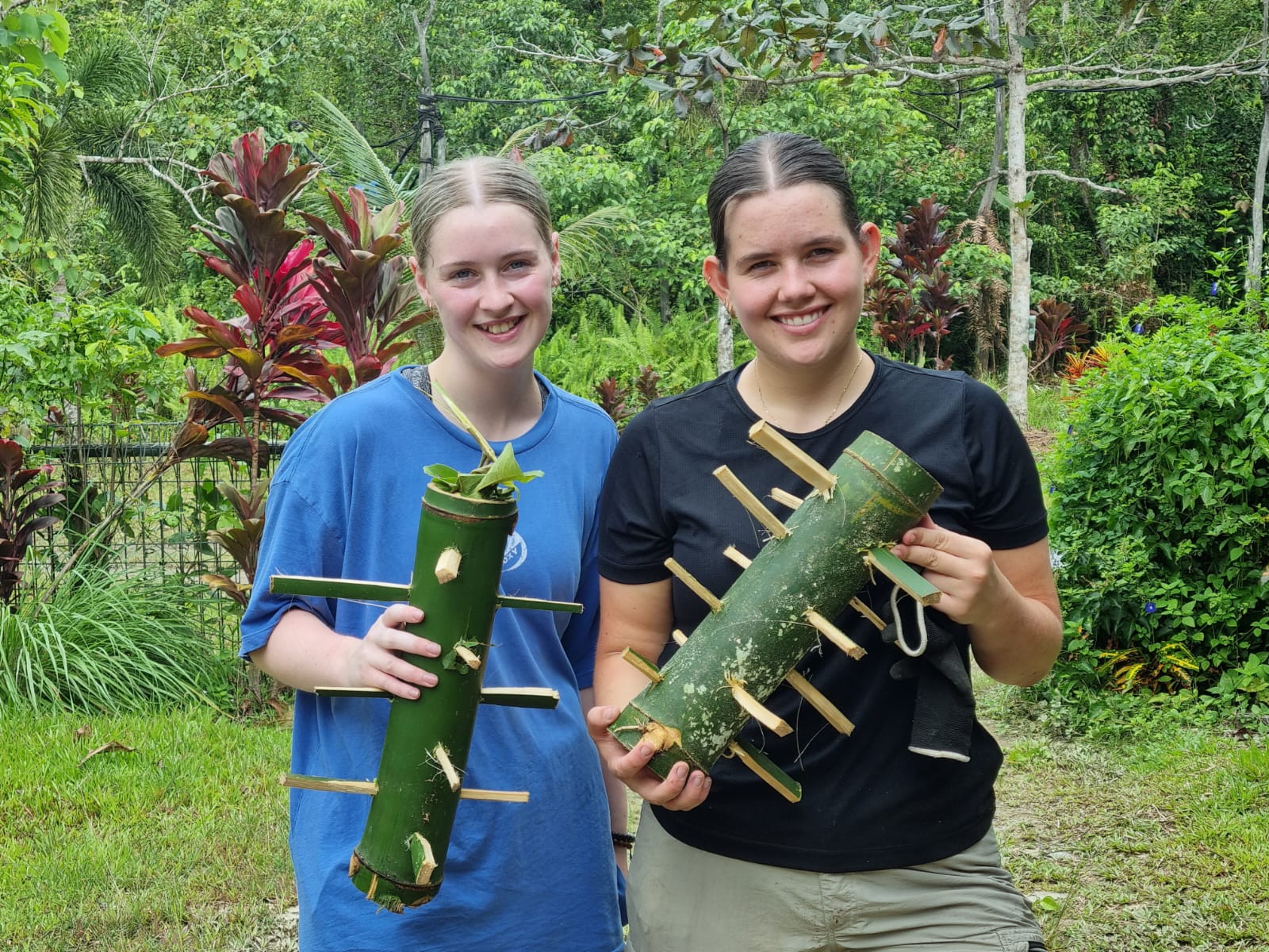 Orangutan And Sun Bear Conservation