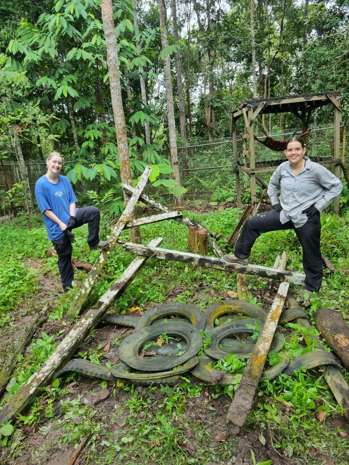 Orangutan And Sun Bear Conservation