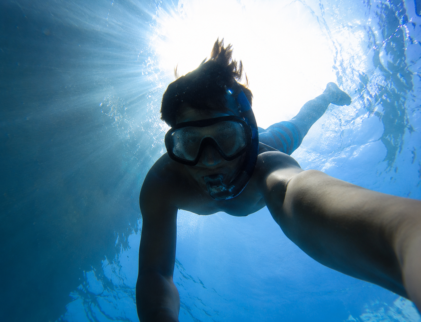 Island Reef Research and Conservation