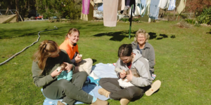 Volunteers supporting Endangered Species Wildlife Conservation and Turtle Rehabilitation through ethical conservation project work