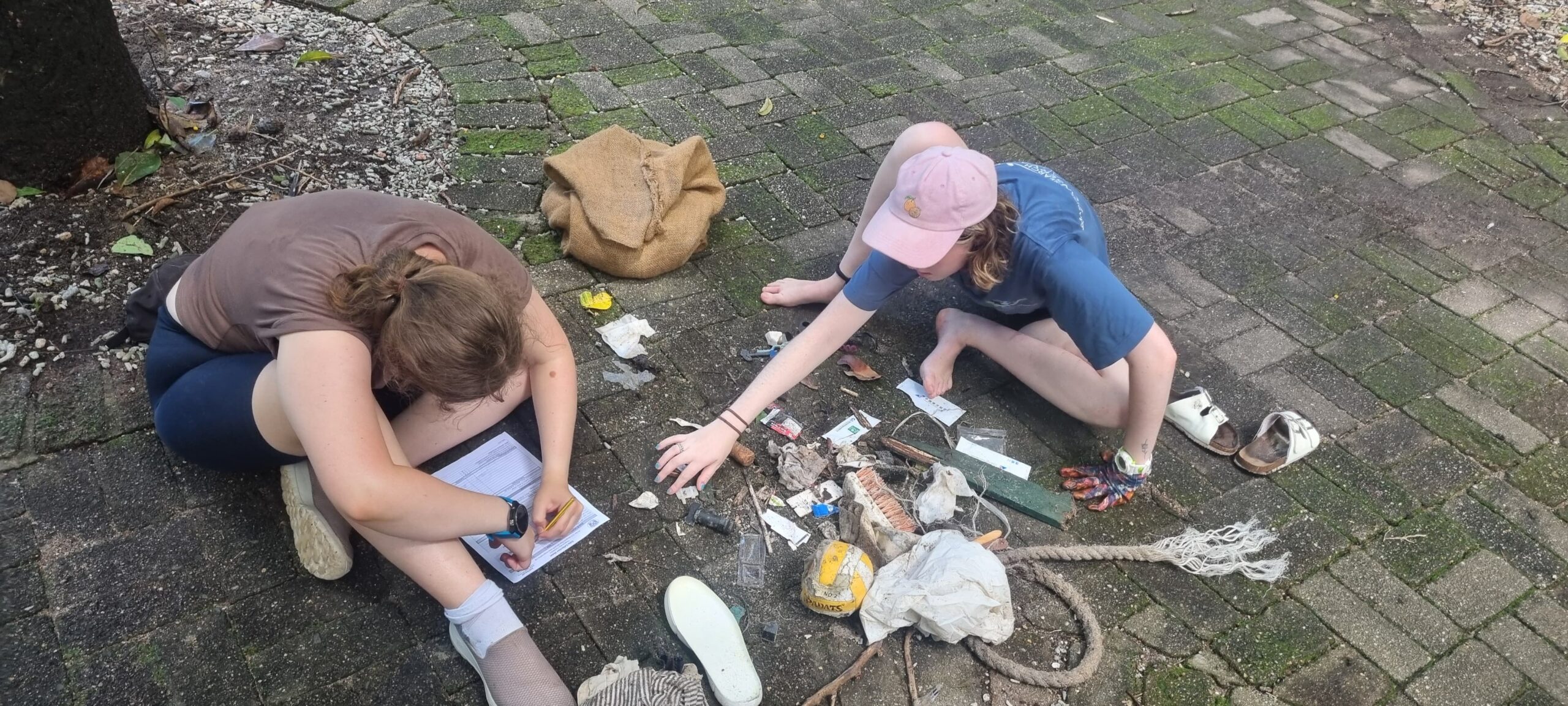 Diploma of Marine Conservation Volunteering
