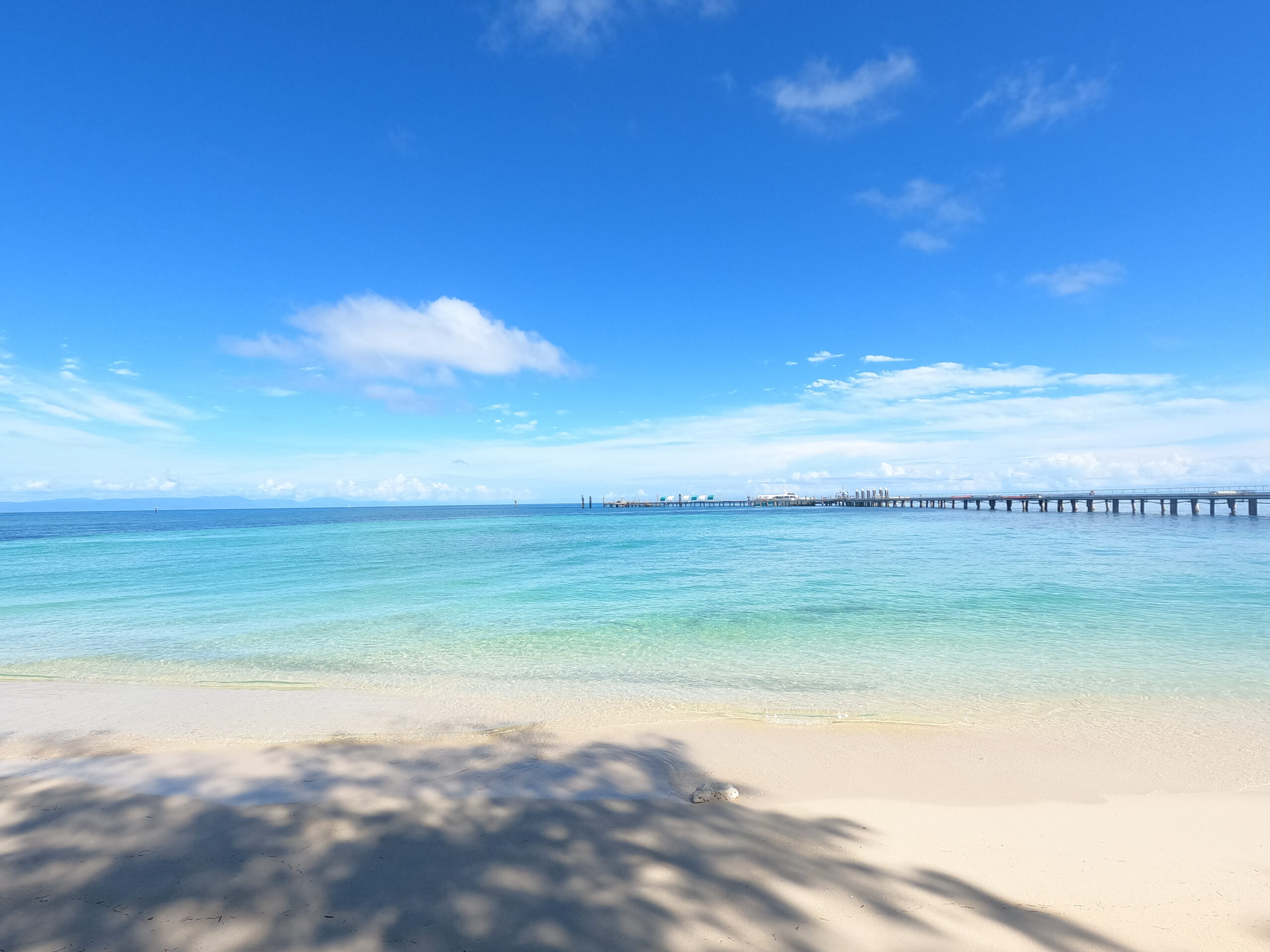 Diploma of Marine Conservation Volunteering