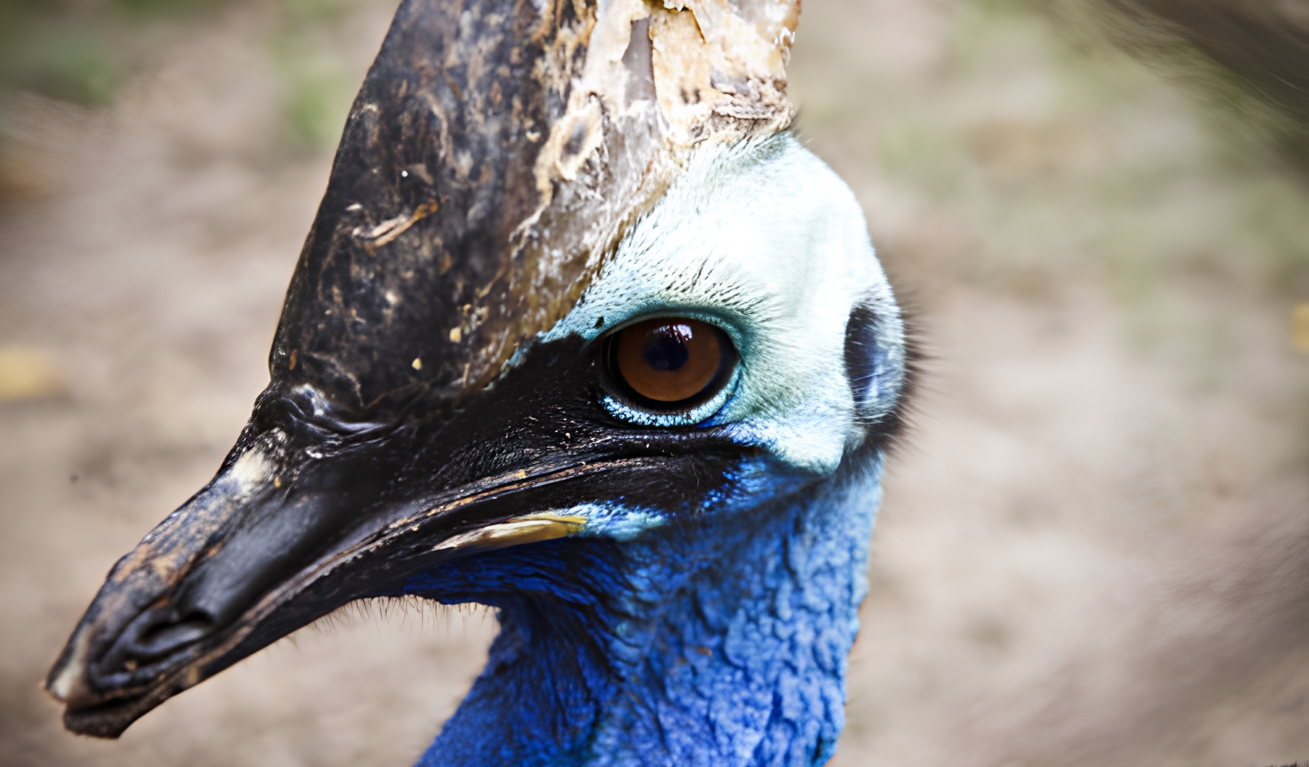 Thai Wildlife Rehabilitation & Care