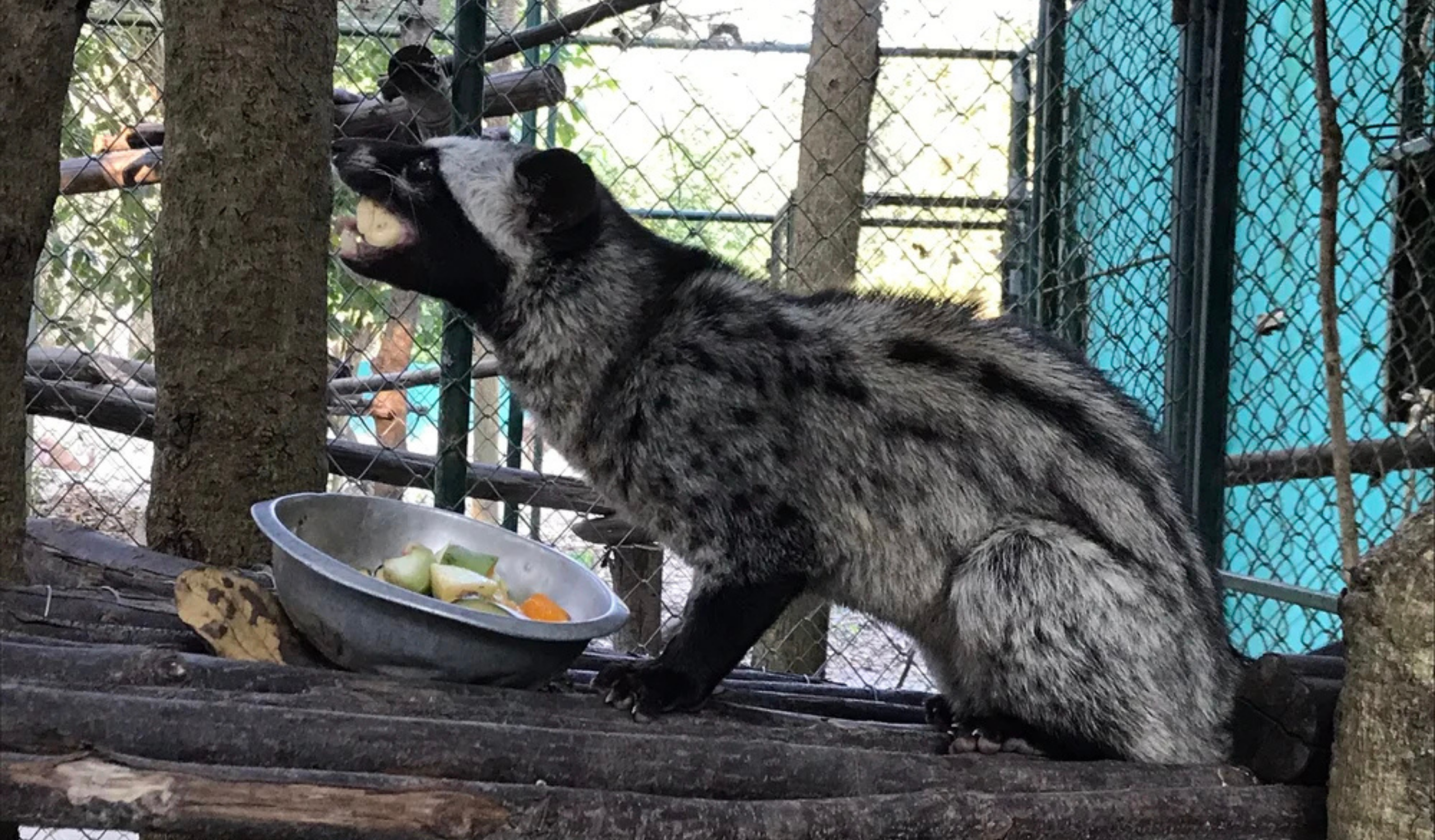 Thai Wildlife Rehabilitation & Care