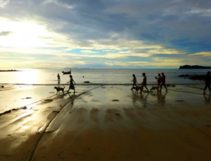 Volunteers supporting Thai Island Dog & Cat Shelter through ethical conservation project work