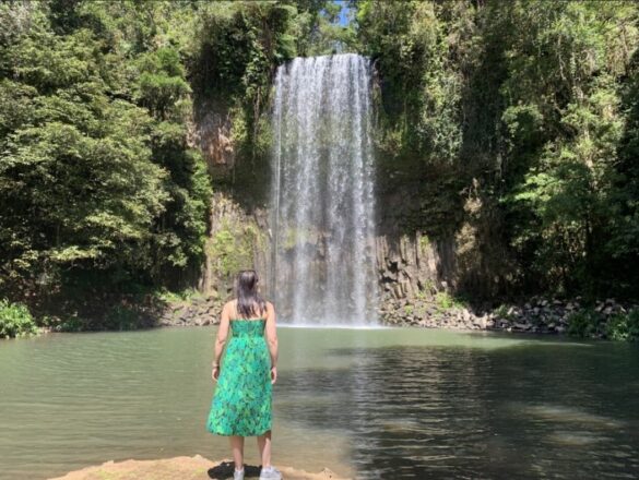Reef, Rainforest and Culture in Far North Queensland
