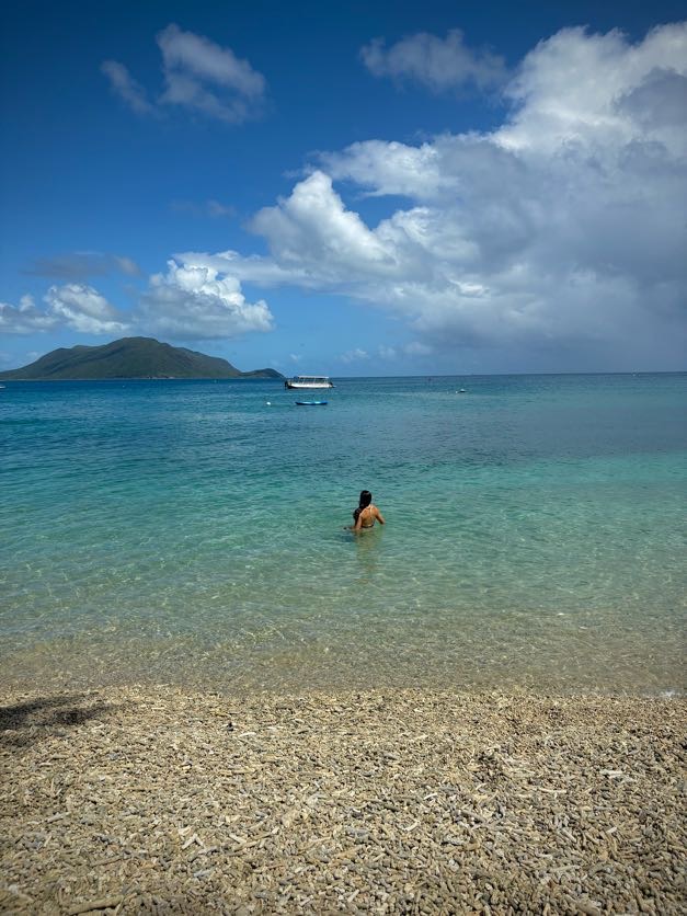 Island Reef Research and Conservation
