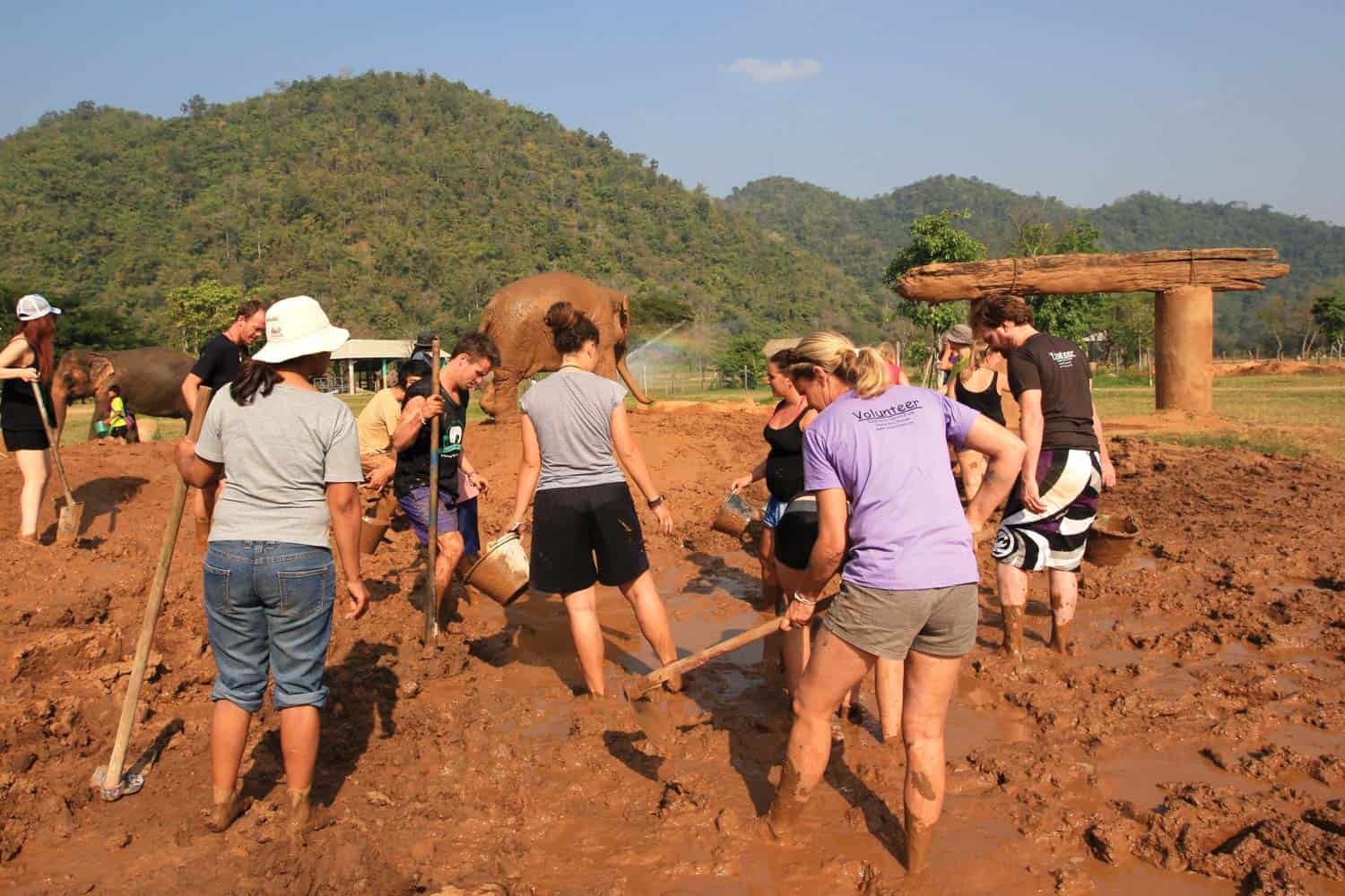Northern Thailand Elephant Sanctuary