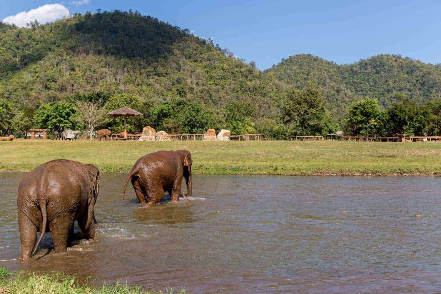 Northern Thailand Elephant Sanctuary
