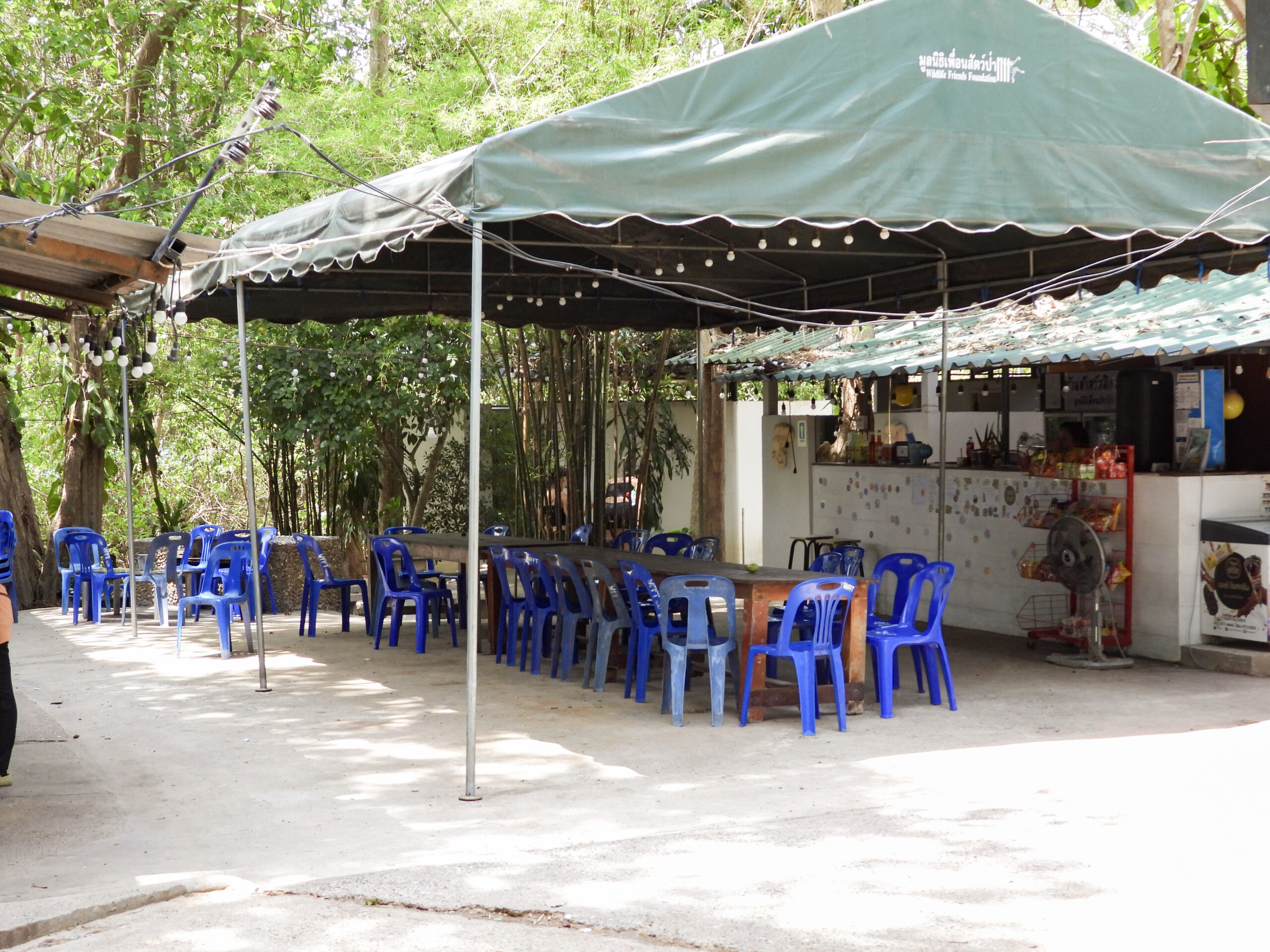 Accommodation & Location
