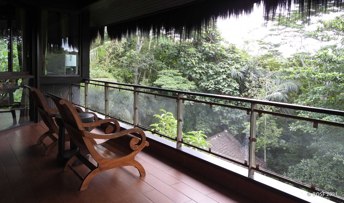 Accommodation & Location