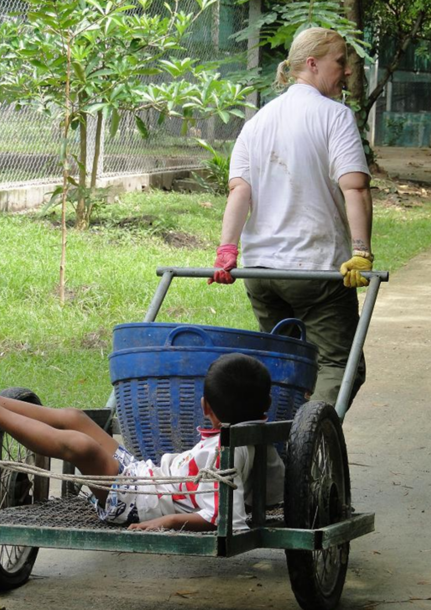 Thai Elephant Sanctuary